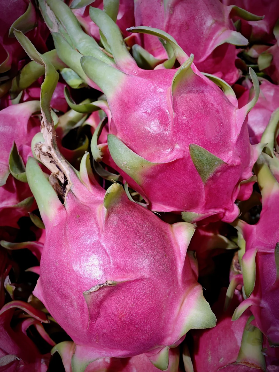 色彩生活｜瞧，超市里的果蔬如此缤纷多彩