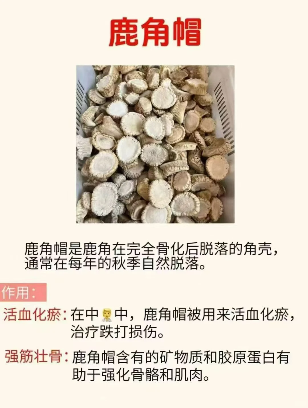 吉林辽源梅花鹿特产