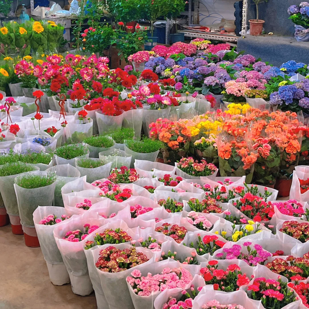 植物爱好者有自己的莫奈花园