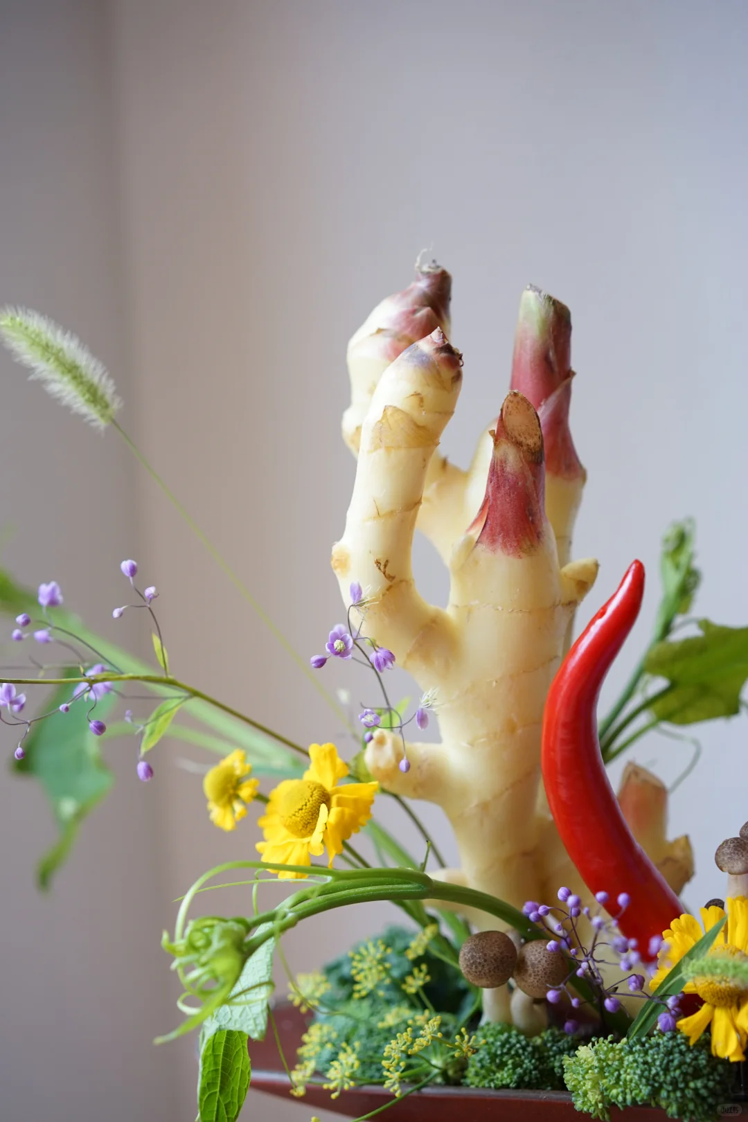 被这些色彩鲜艳的蔬果治愈了??️?