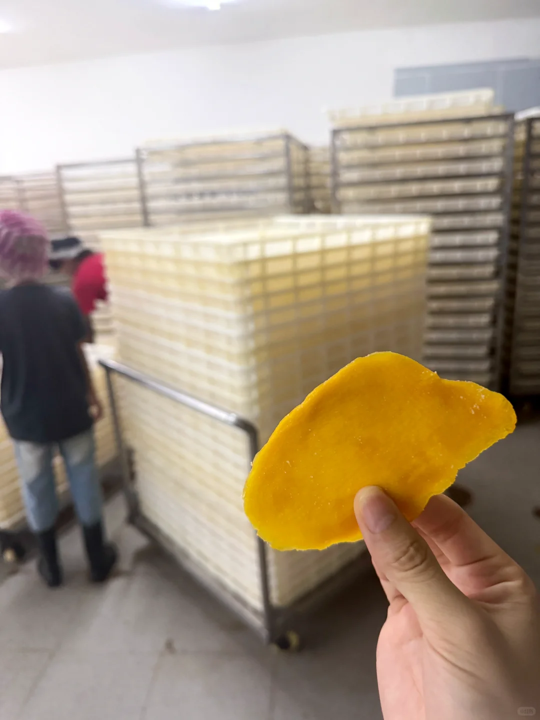 不卖完芒果干老板不让我回国