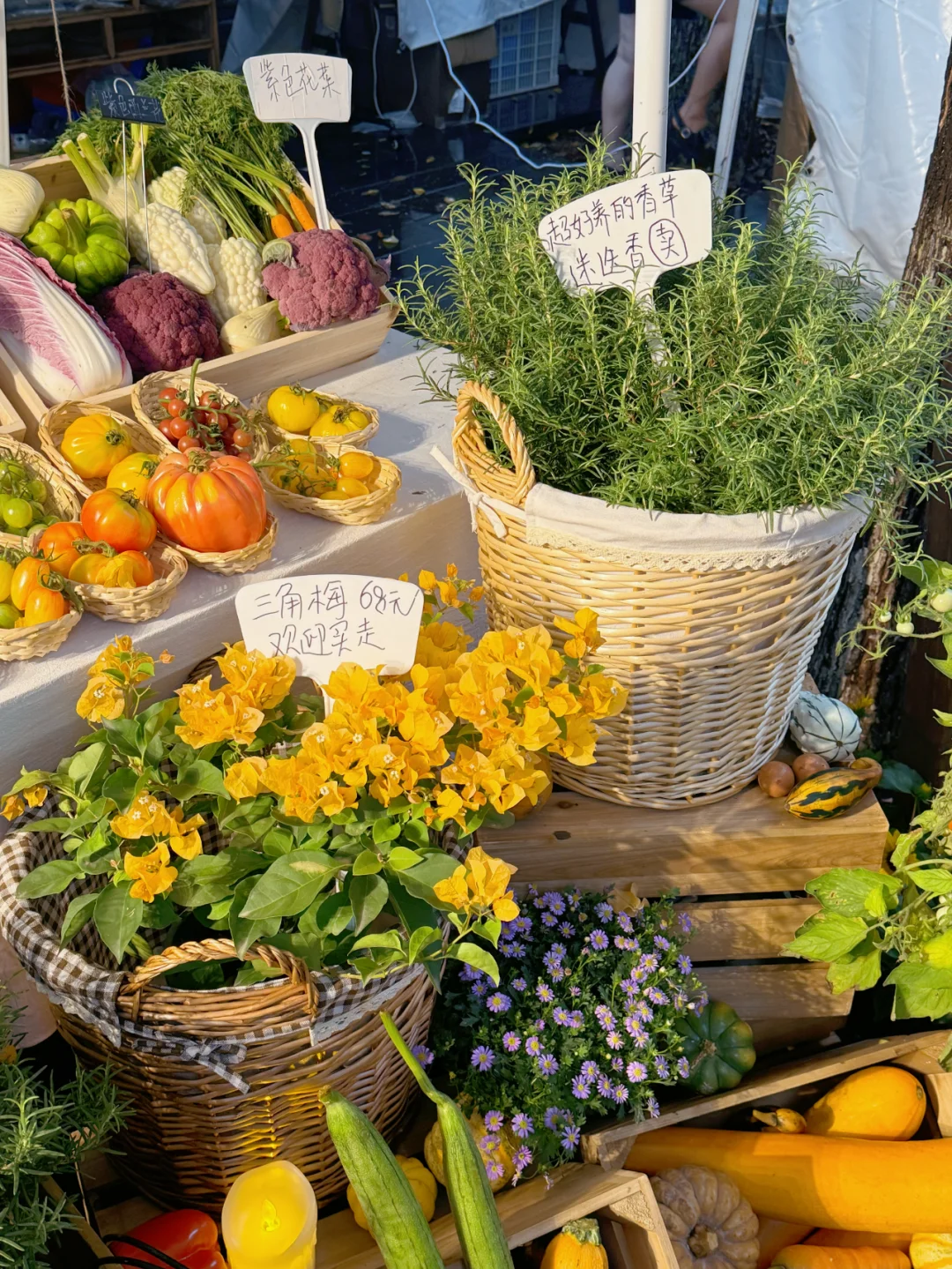 快来找我们玩?苏州本色美术馆