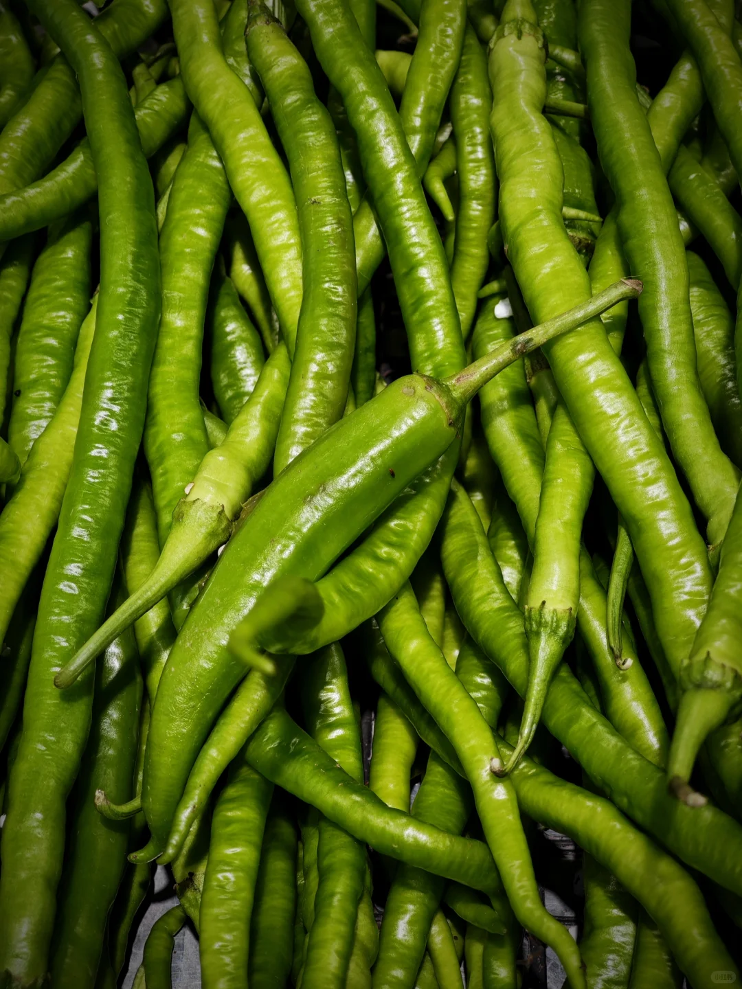 色彩生活｜瞧，超市里的果蔬如此缤纷多彩