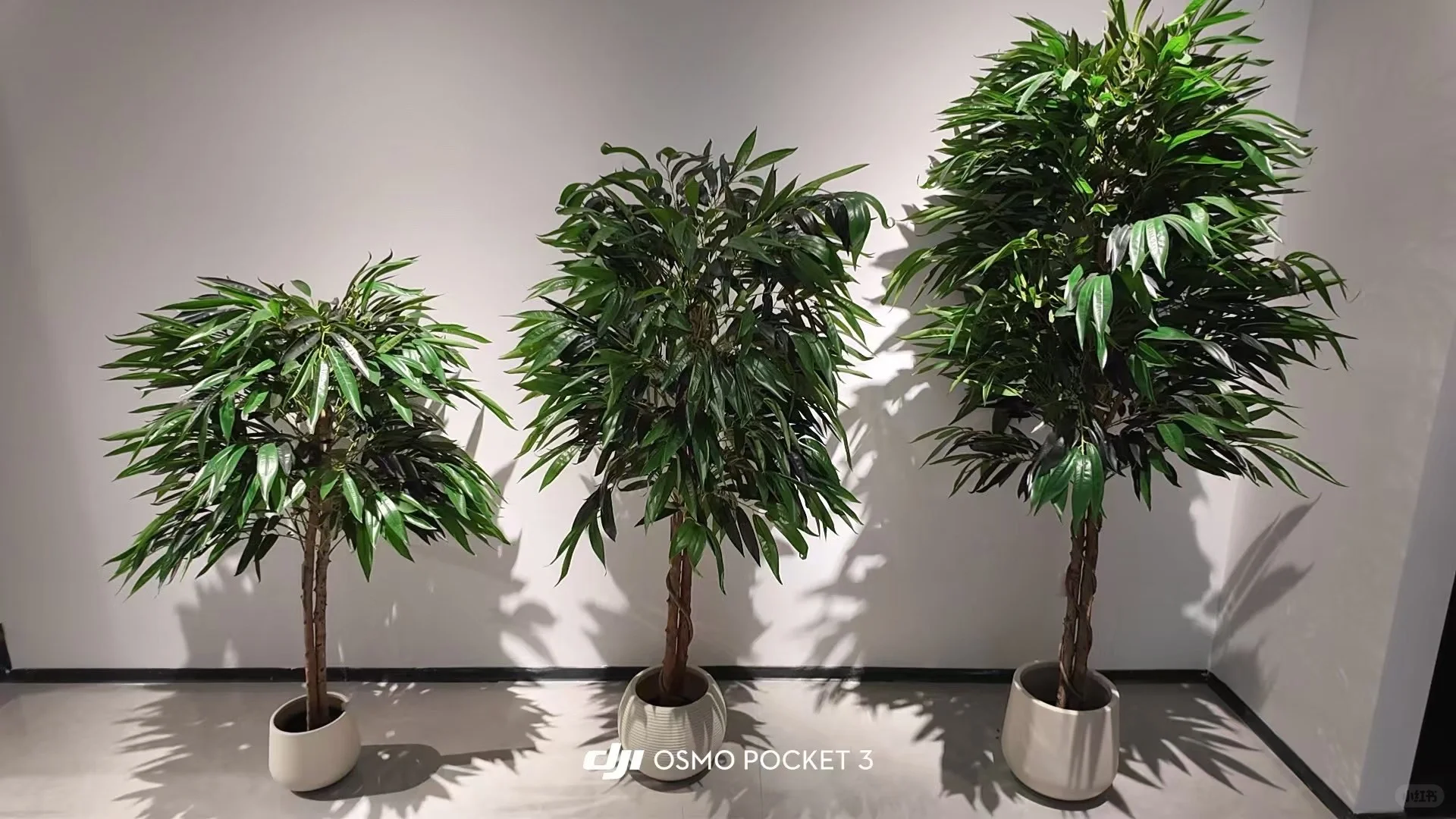 我们在国际生产资料市场配件经营区玩大了！！