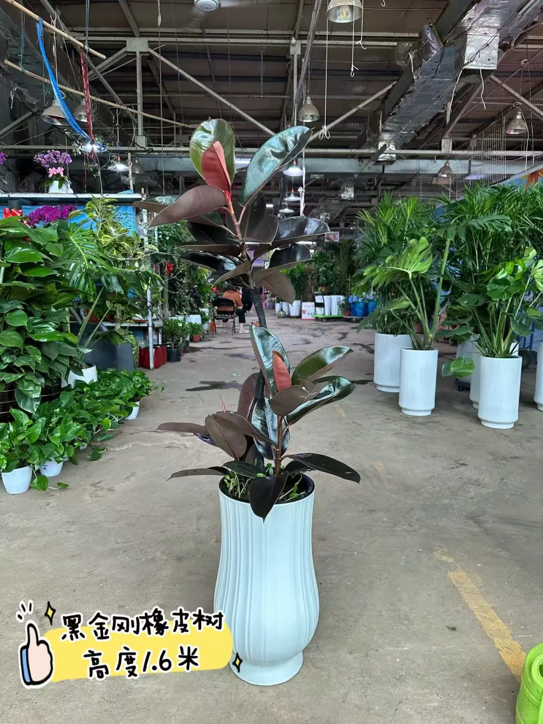 沈阳同城送货上门啦家人们?