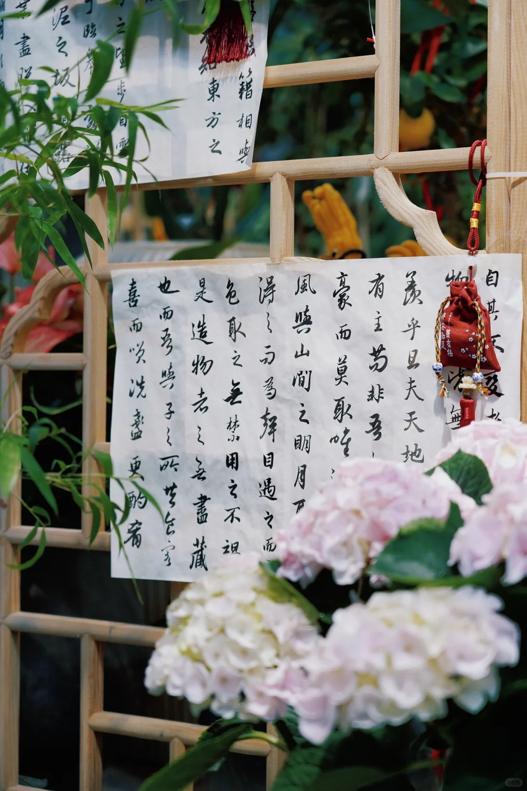 ?合肥的花市已经美到下一个level了！