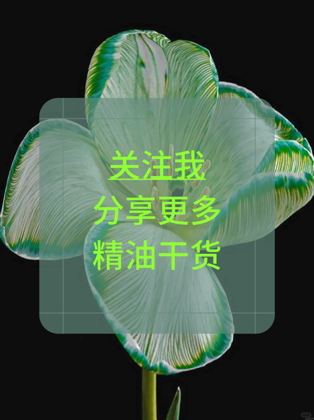 保存吧??很难找全❗好用精油配方分享