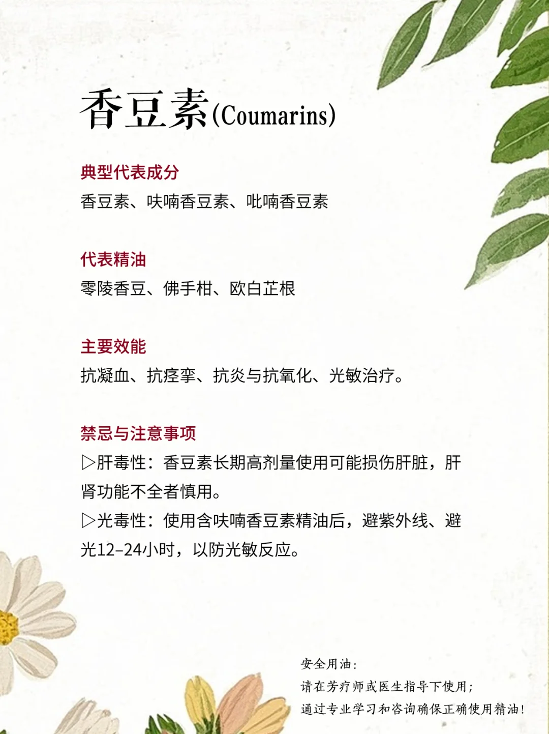 ?精油化学全解析（2）