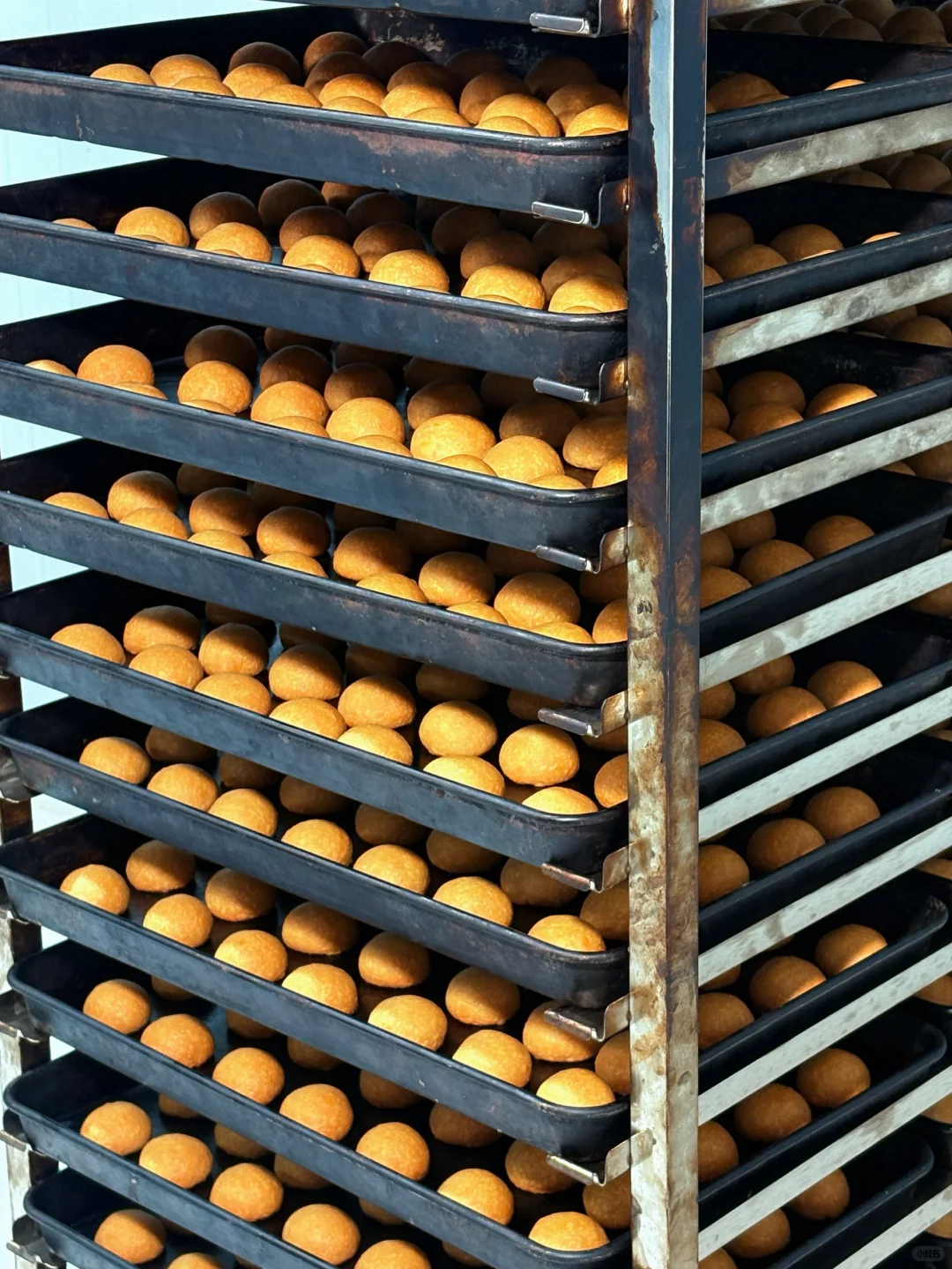 做食品有良心，是不是很难赚钱啊