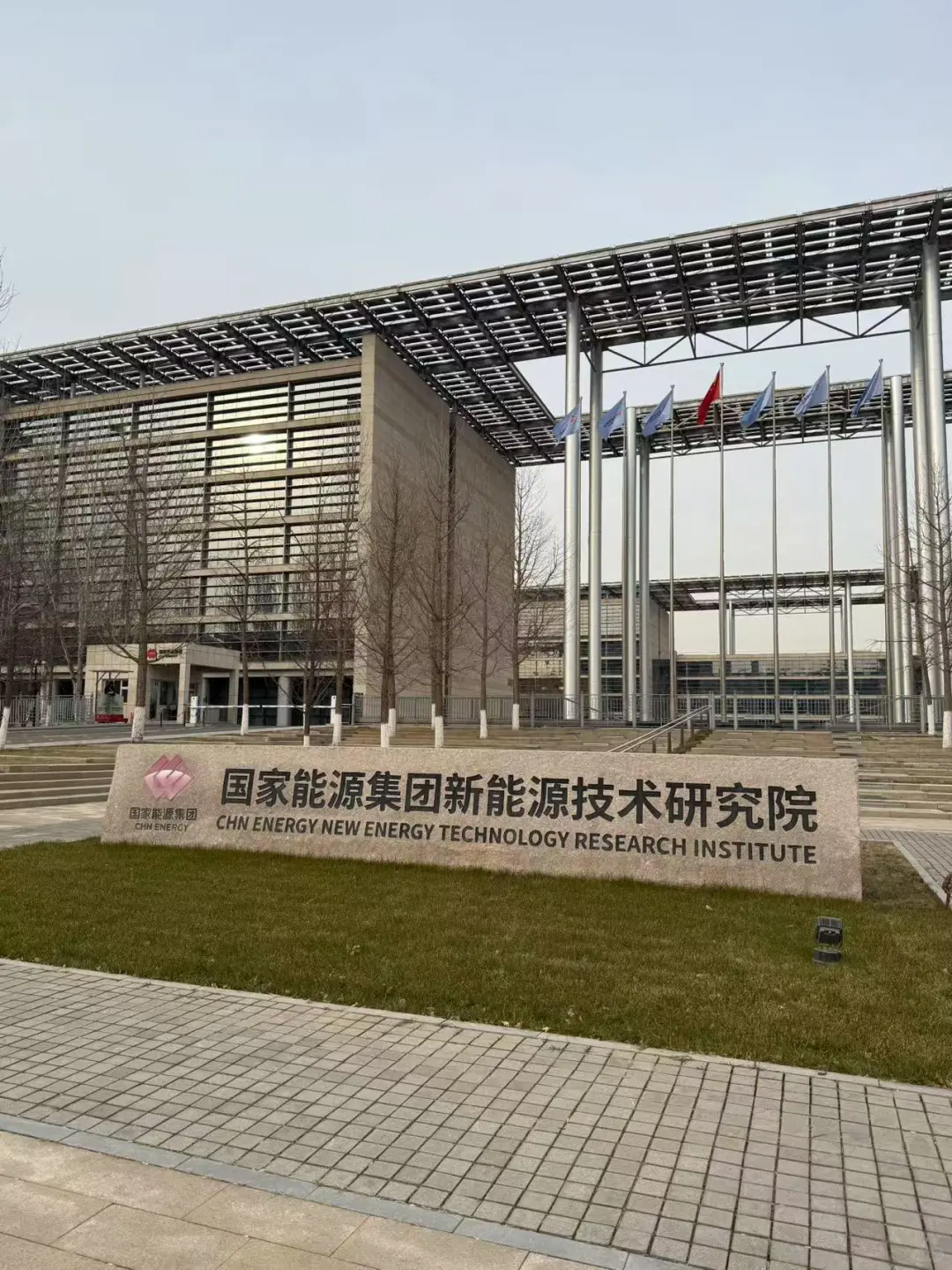 植树节-招投标-今天种下的是未来