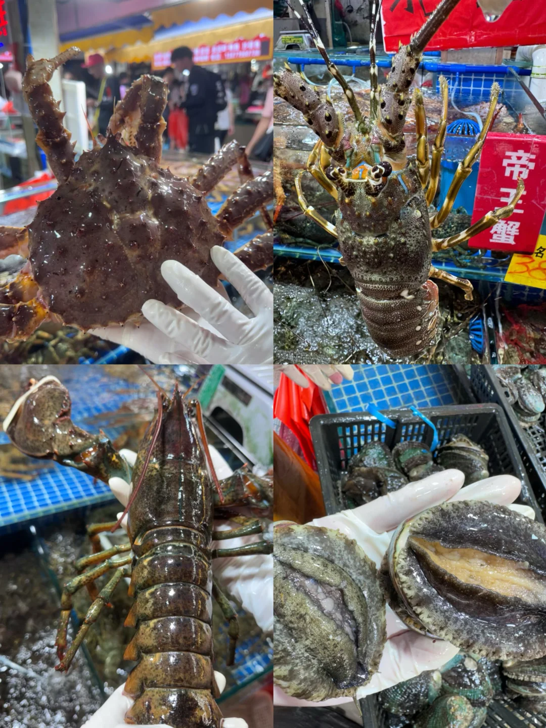 11.23海鲜报价‼️北海便民市场【便民海鲜】