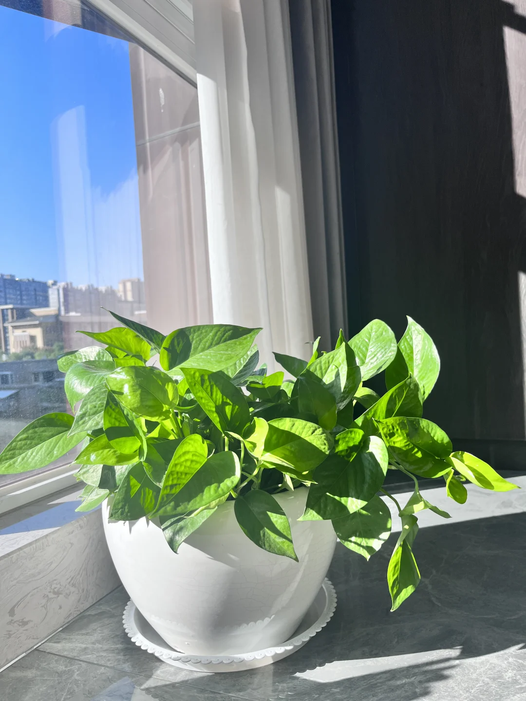 这❗️冬日暖阳???