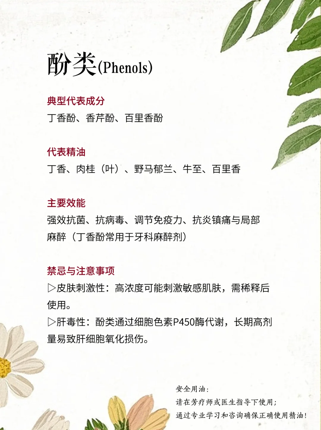 ?精油化学全解析（2）