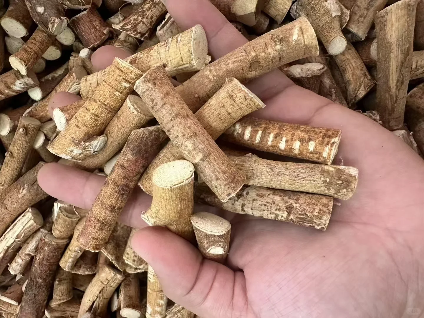 五指毛桃加工现场