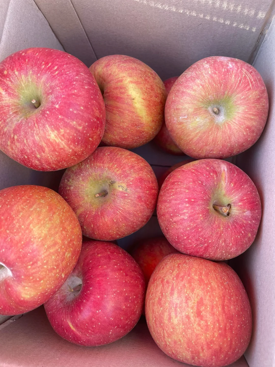 10r➕?5斤红富士，产地购买力强的可怕❗️