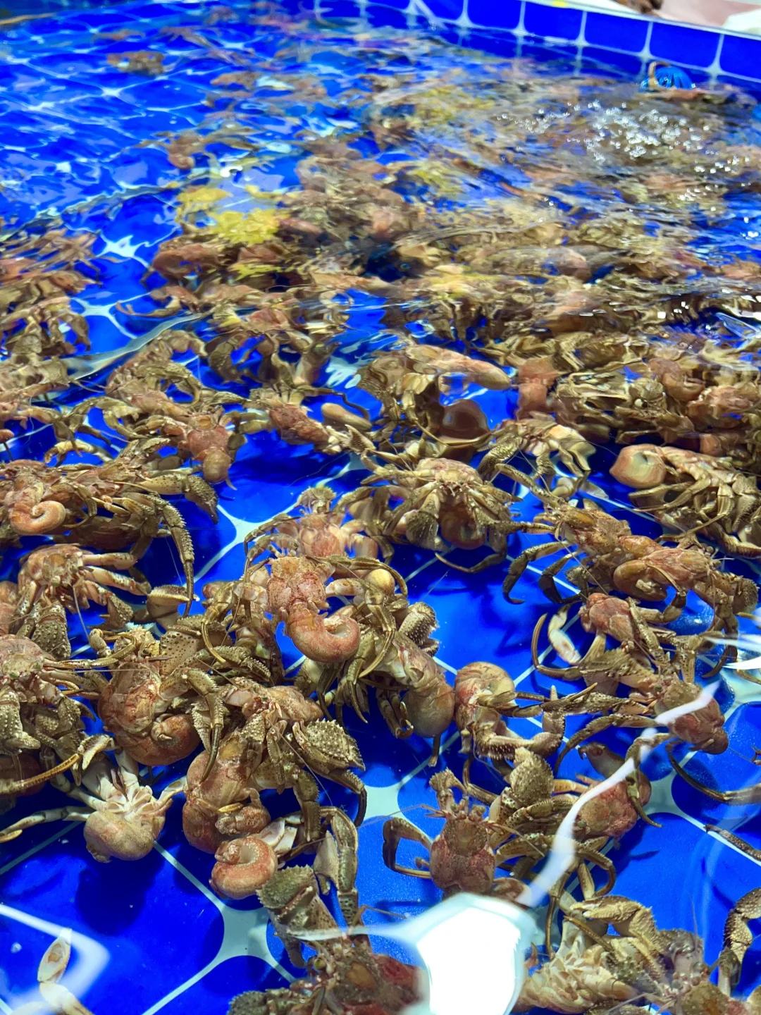 下高铁第一站！直奔这个宝藏市场！！！