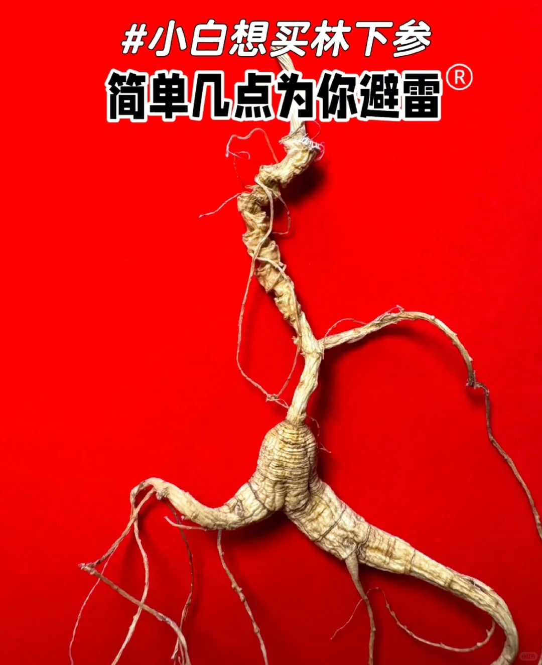 不怕被坑的别进！！如何选择林下参籽货？