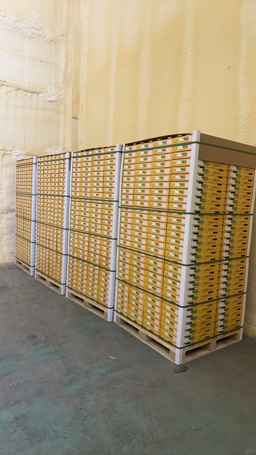 猕猴桃出口加工厂，水果出口