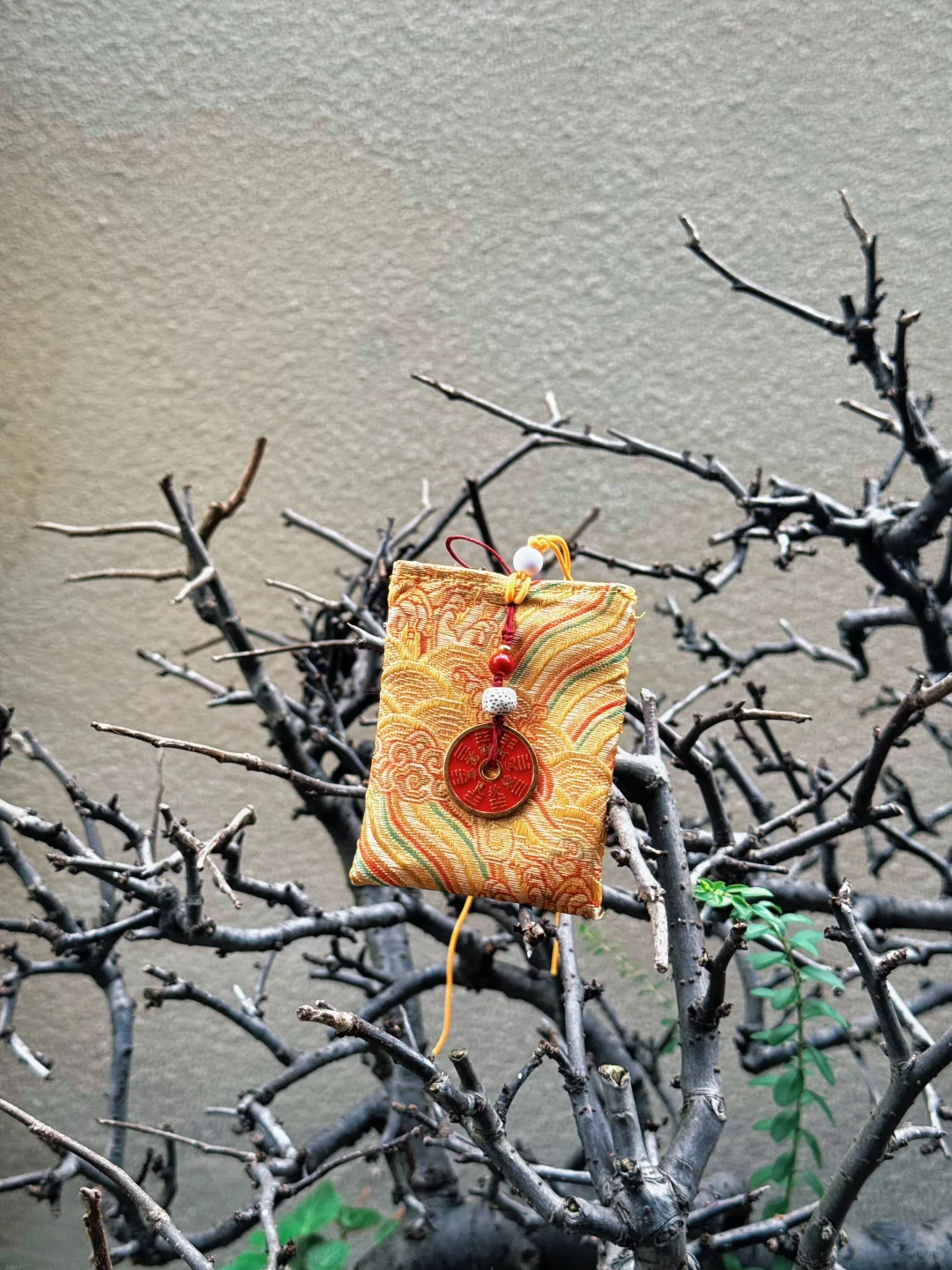 这好像真的不是巧合