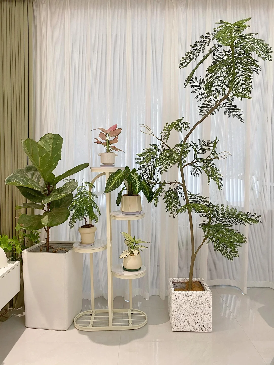 pxx?20➕的小绿植(含花盆！)拥有了自己的家