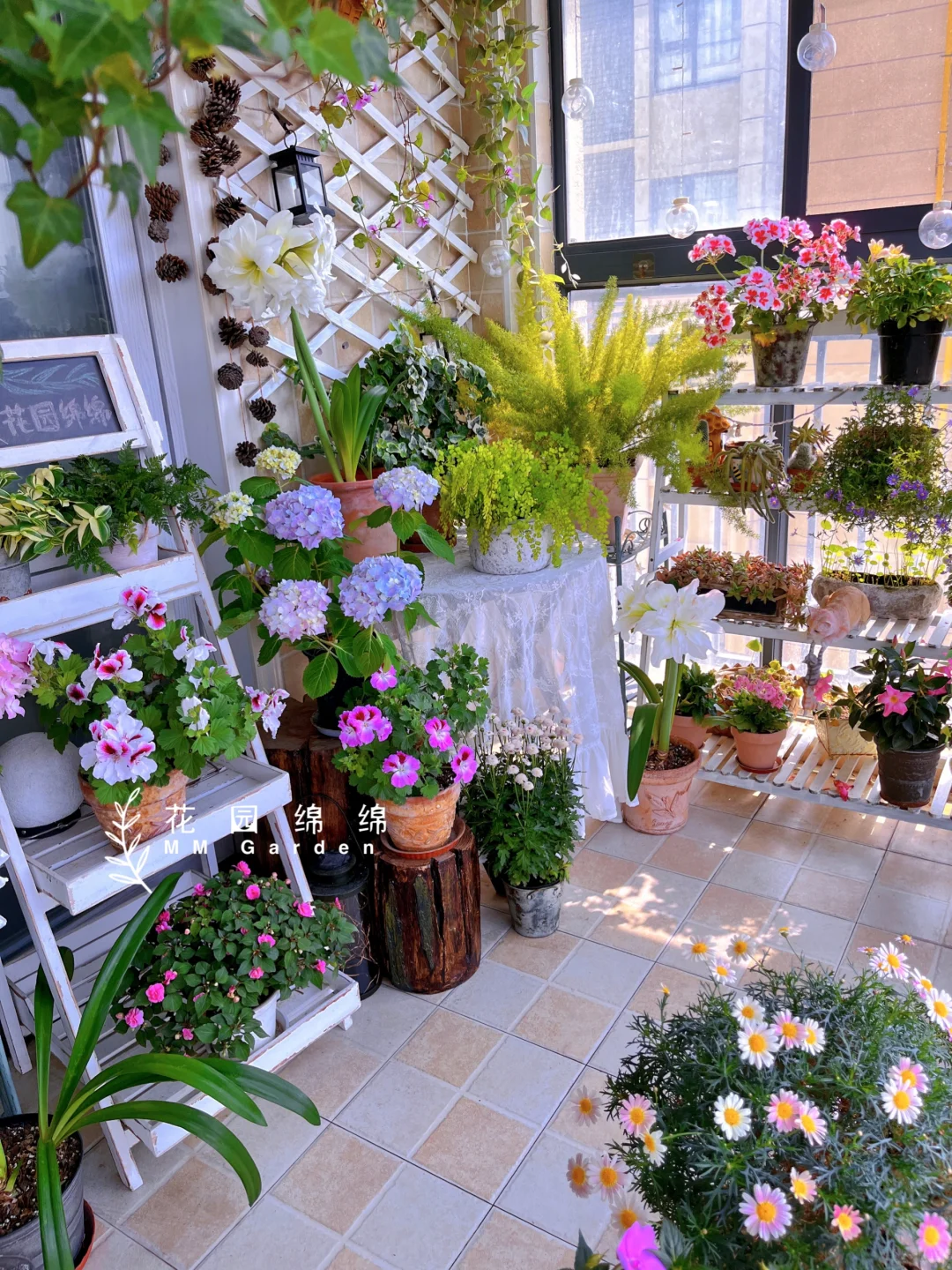 养花不晒花，等于白养花～?‍♀️??‍??