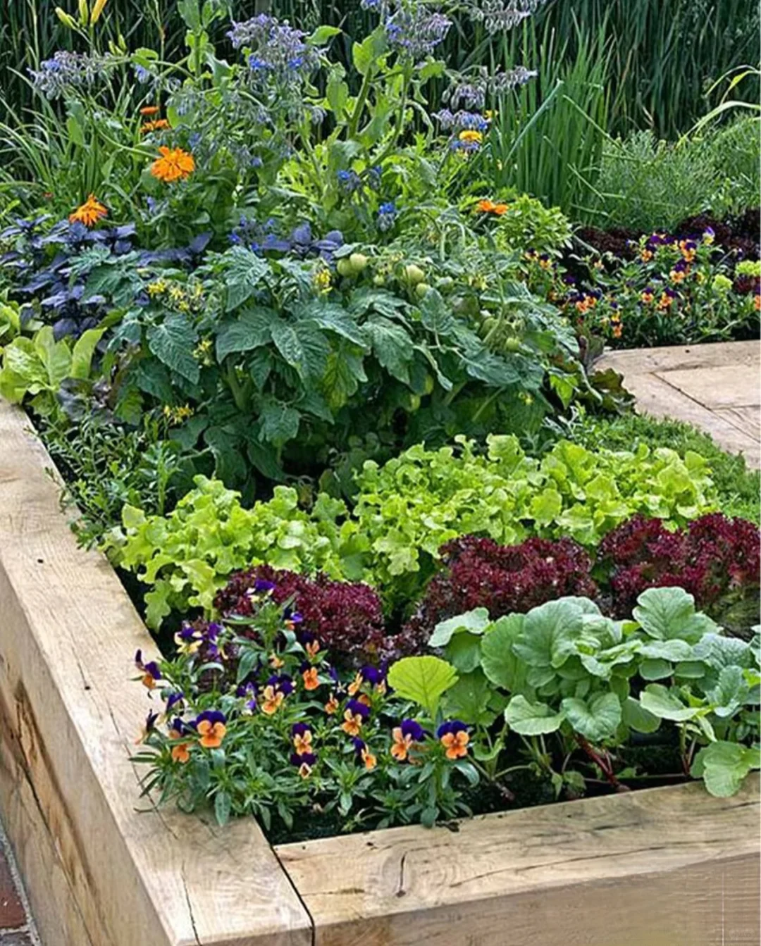 修复土壤从时光农场的一米菜园开始