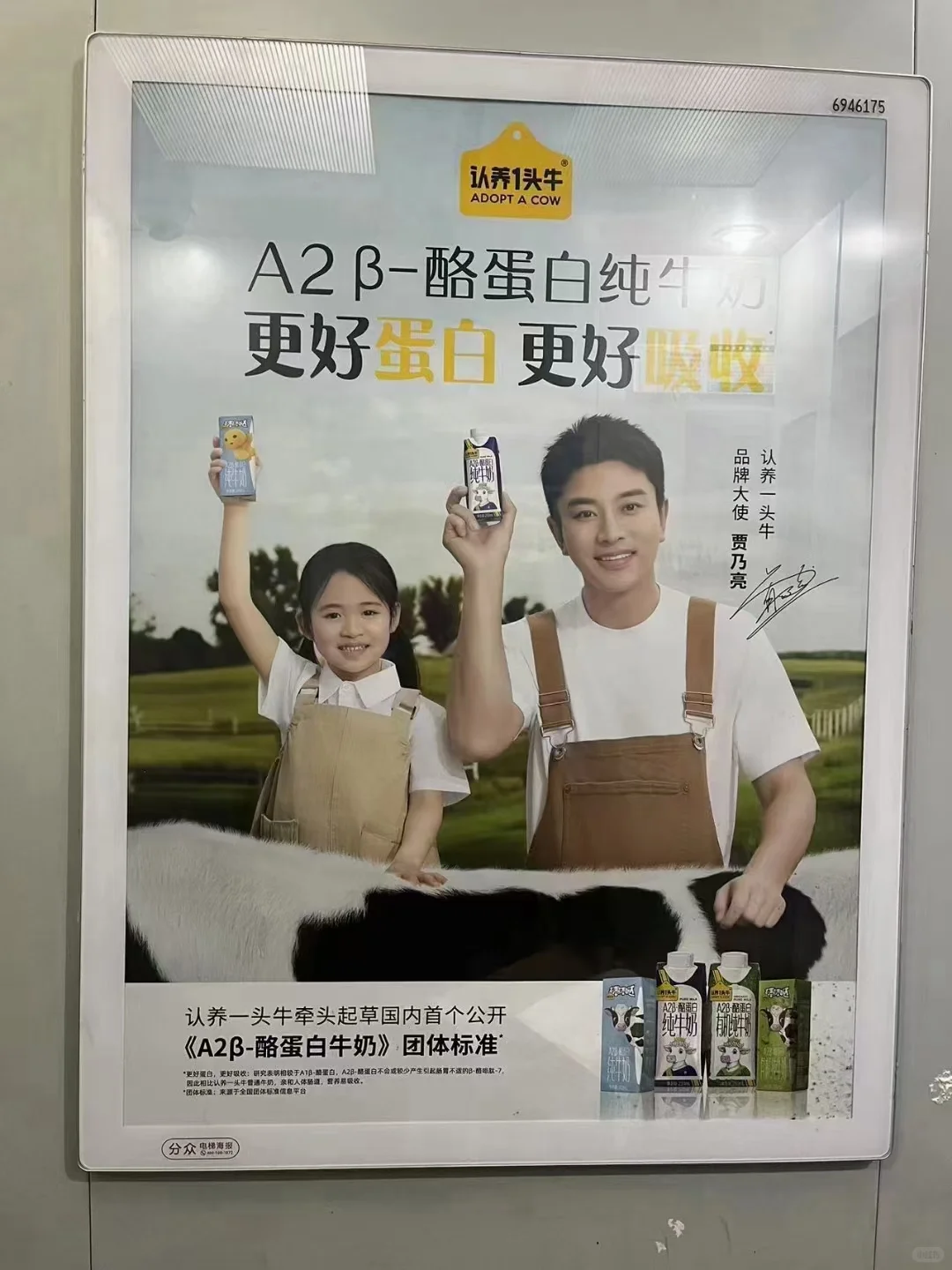 标准和市场占有率报告