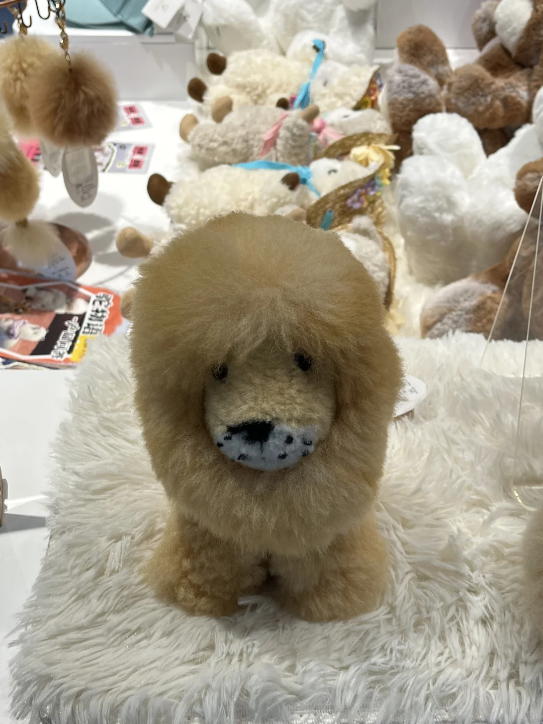 00后毕业女大钢材生卖钢第432天?