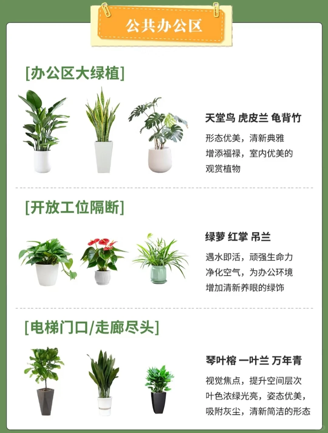 北京全区域专业绿植养护，绿植租摆