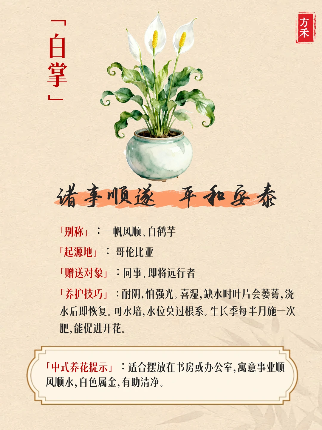 9种花卉藏玄机? 家宅兴旺好运来