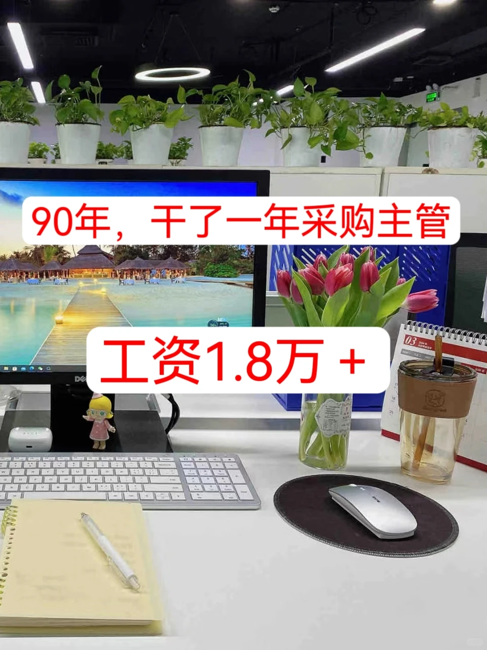 90年干一年采购主管