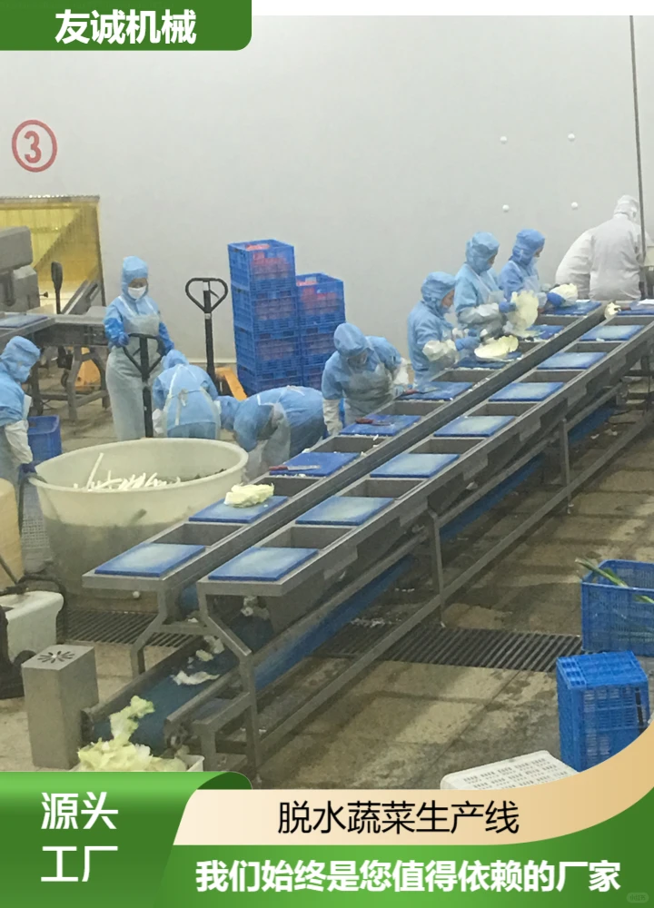 百色脱水蔬菜生产线采购