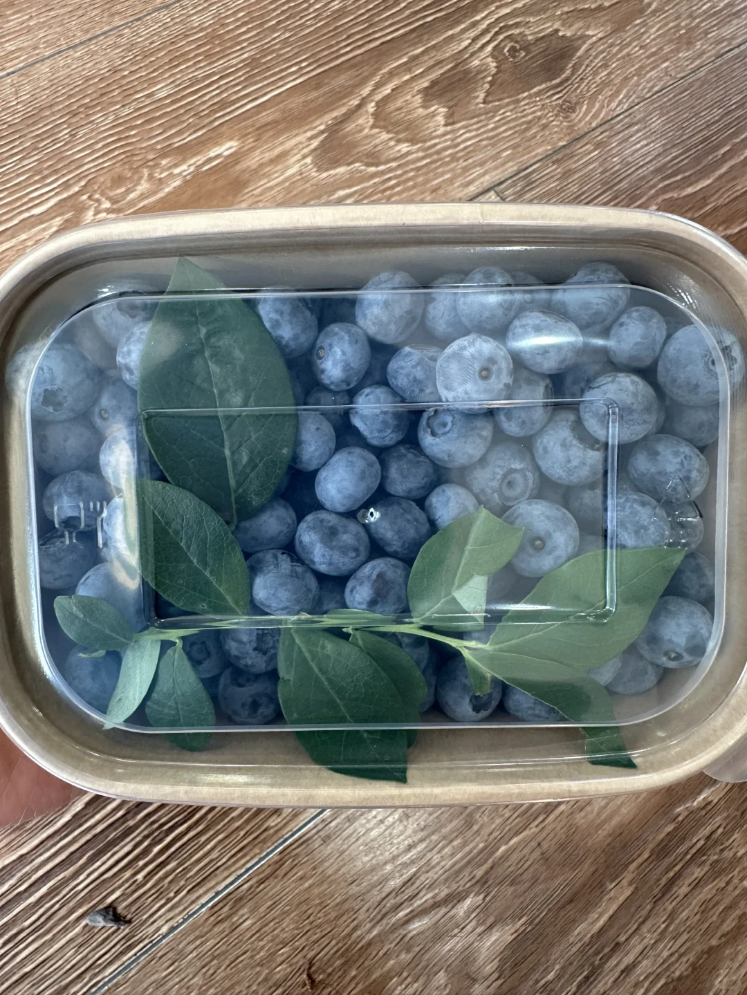 蔬菜品种合集???????