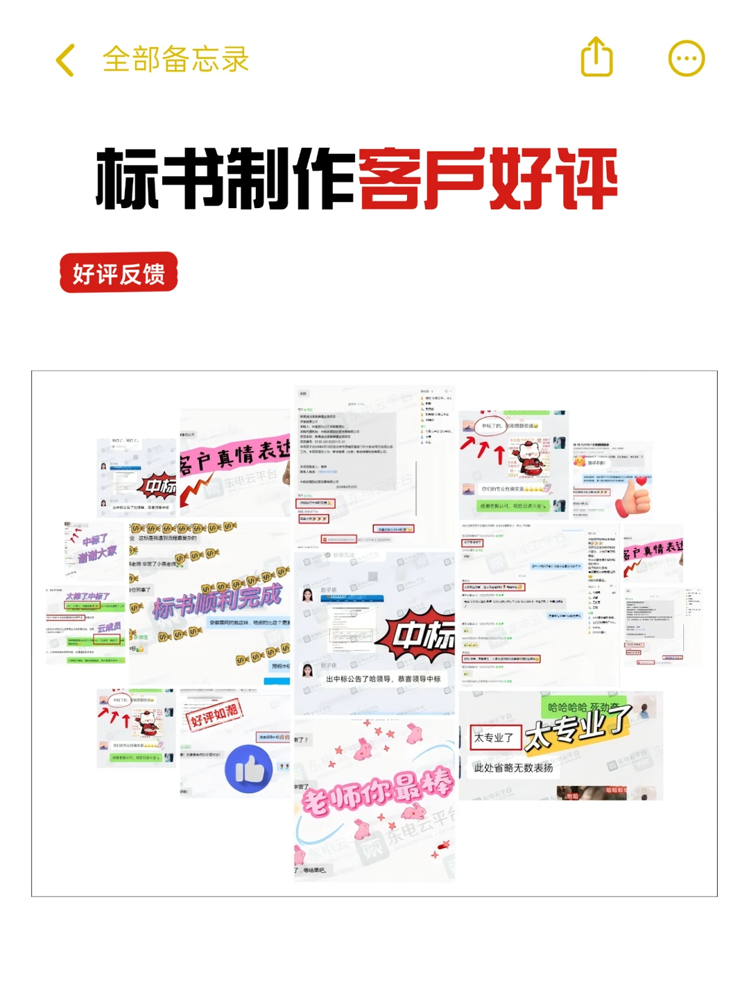 专业标书制作团队，精准解读+高效成标 ❗️