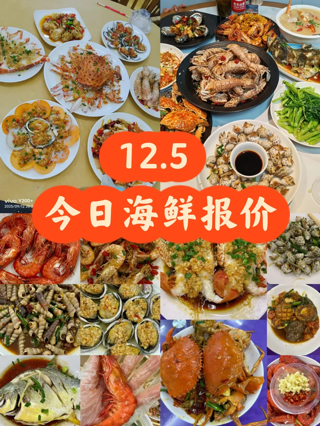 北海海鲜市场攻略来了‼️ 12.5海鲜实时报价