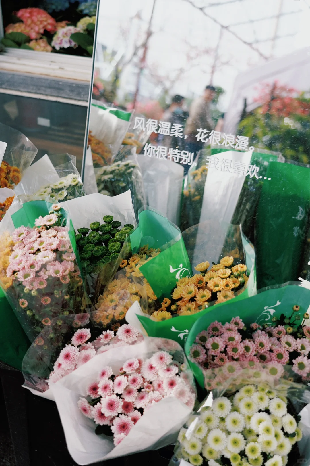 ?合肥的花市已经美到下一个level了！