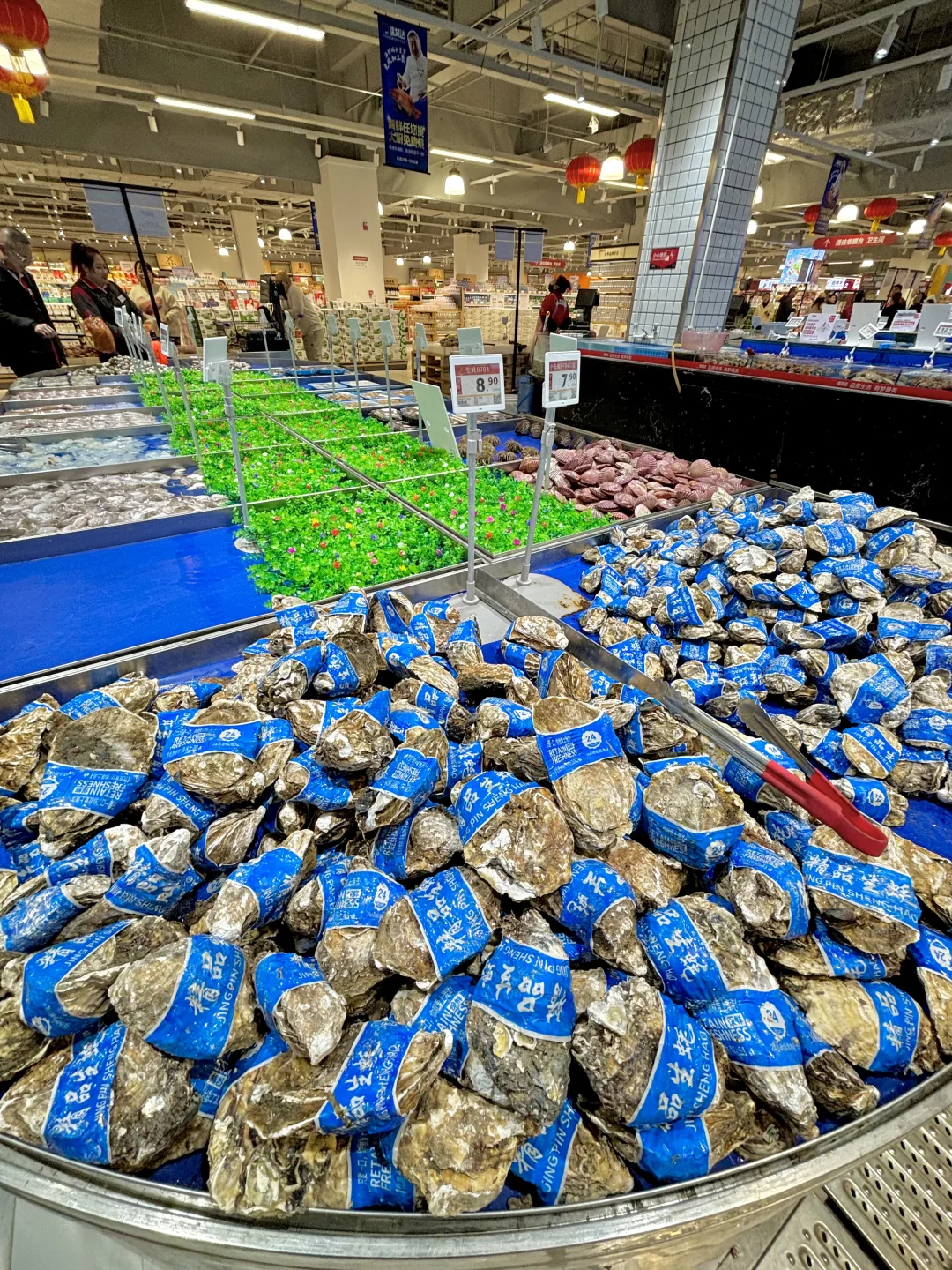 沈阳人速冲！海鲜买完直接免费加工香哭了?