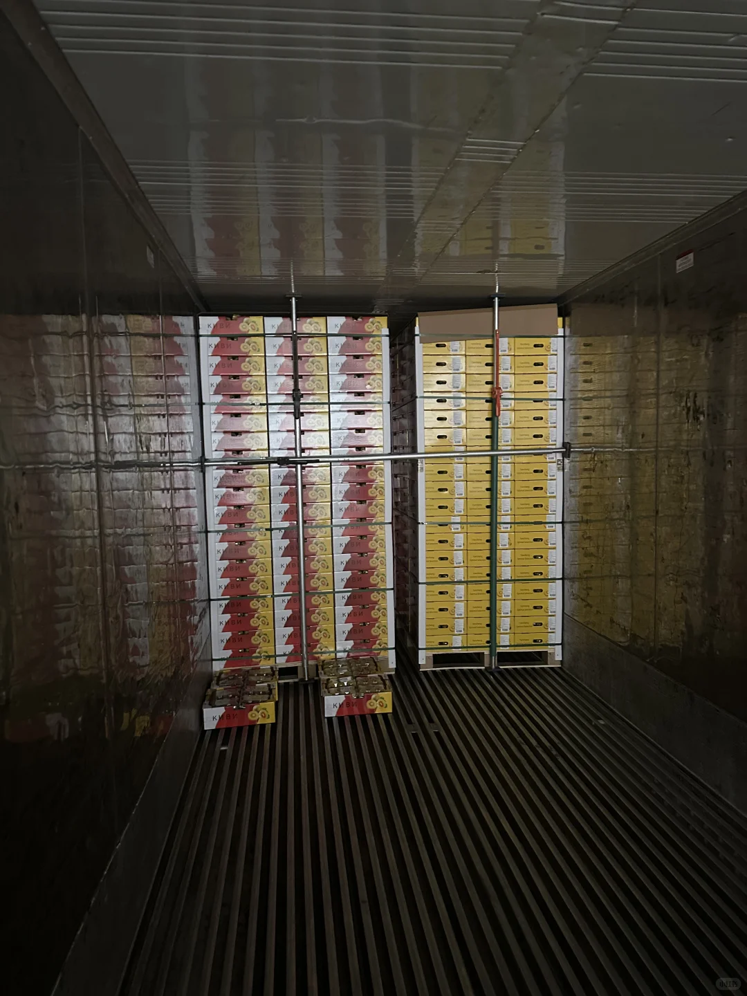 猕猴桃出口加工厂，水果出口