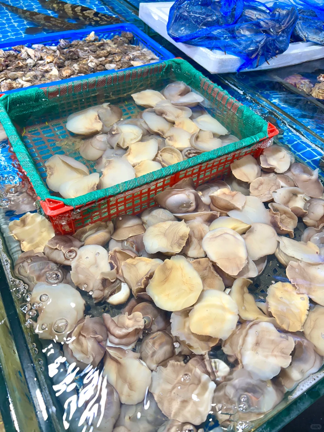 威海宝藏市场！！已N刷！！！