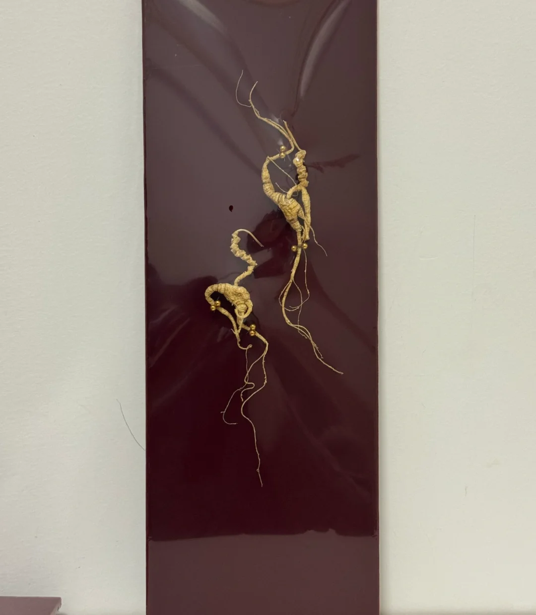 横灵体是多少人的偏爱