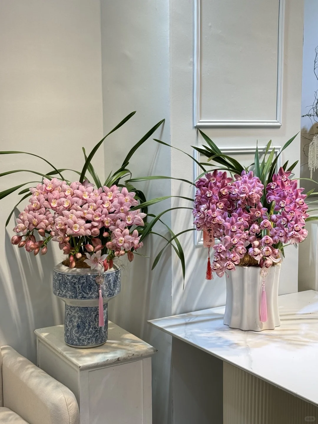 大花惠兰 最近的销冠?