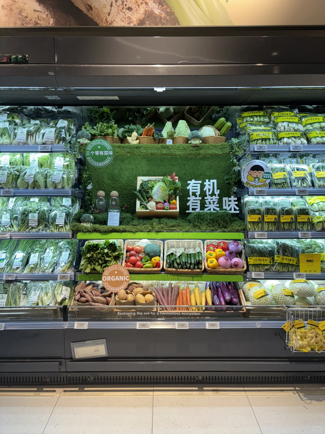 Ole新店开业，好治愈的蔬菜墙，想吃