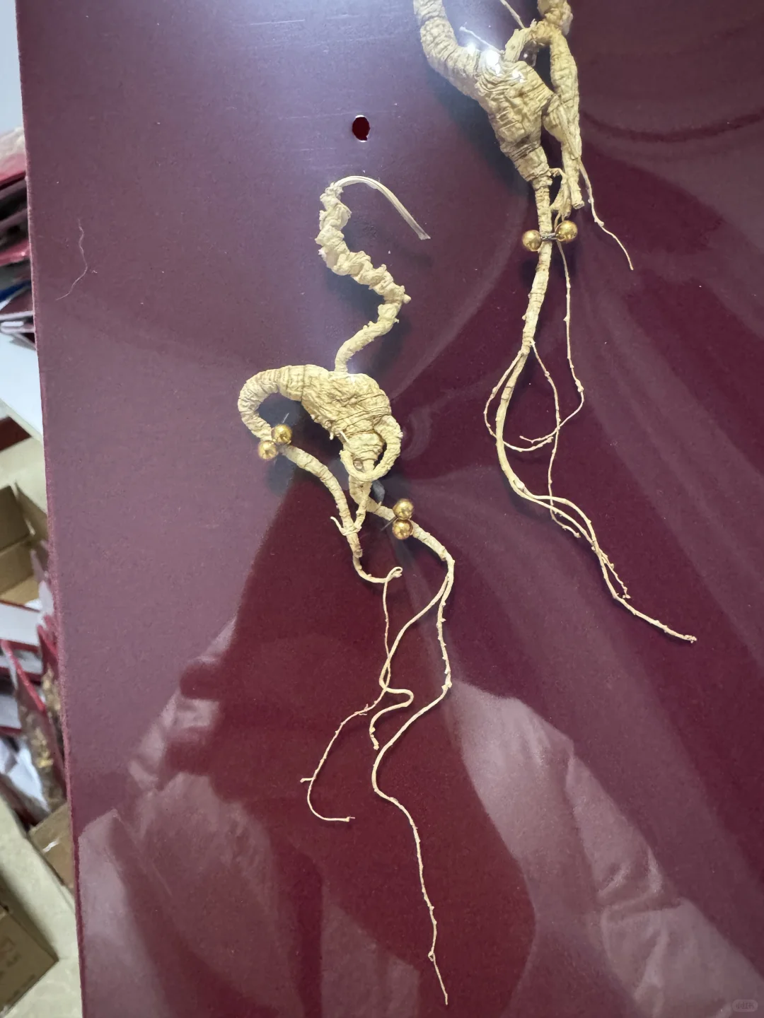 横灵体是多少人的偏爱