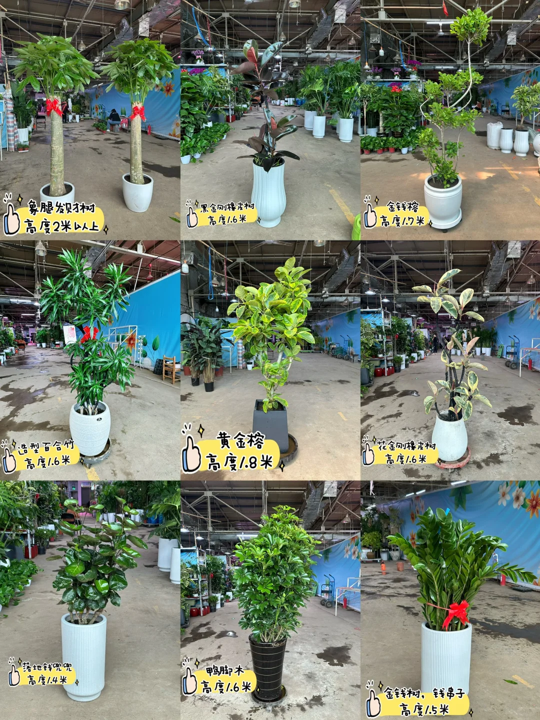 沈阳同城送货上门啦家人们?