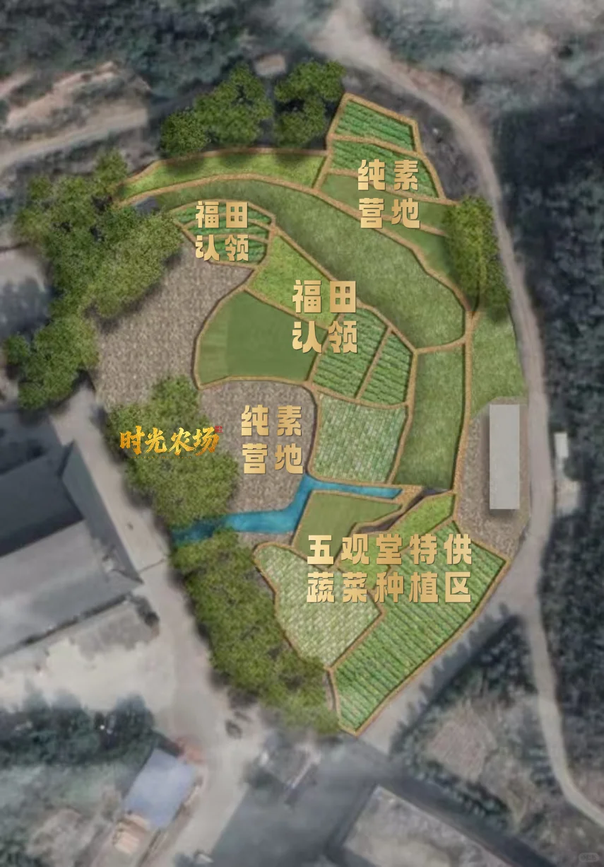 修复土壤从时光农场的一米菜园开始