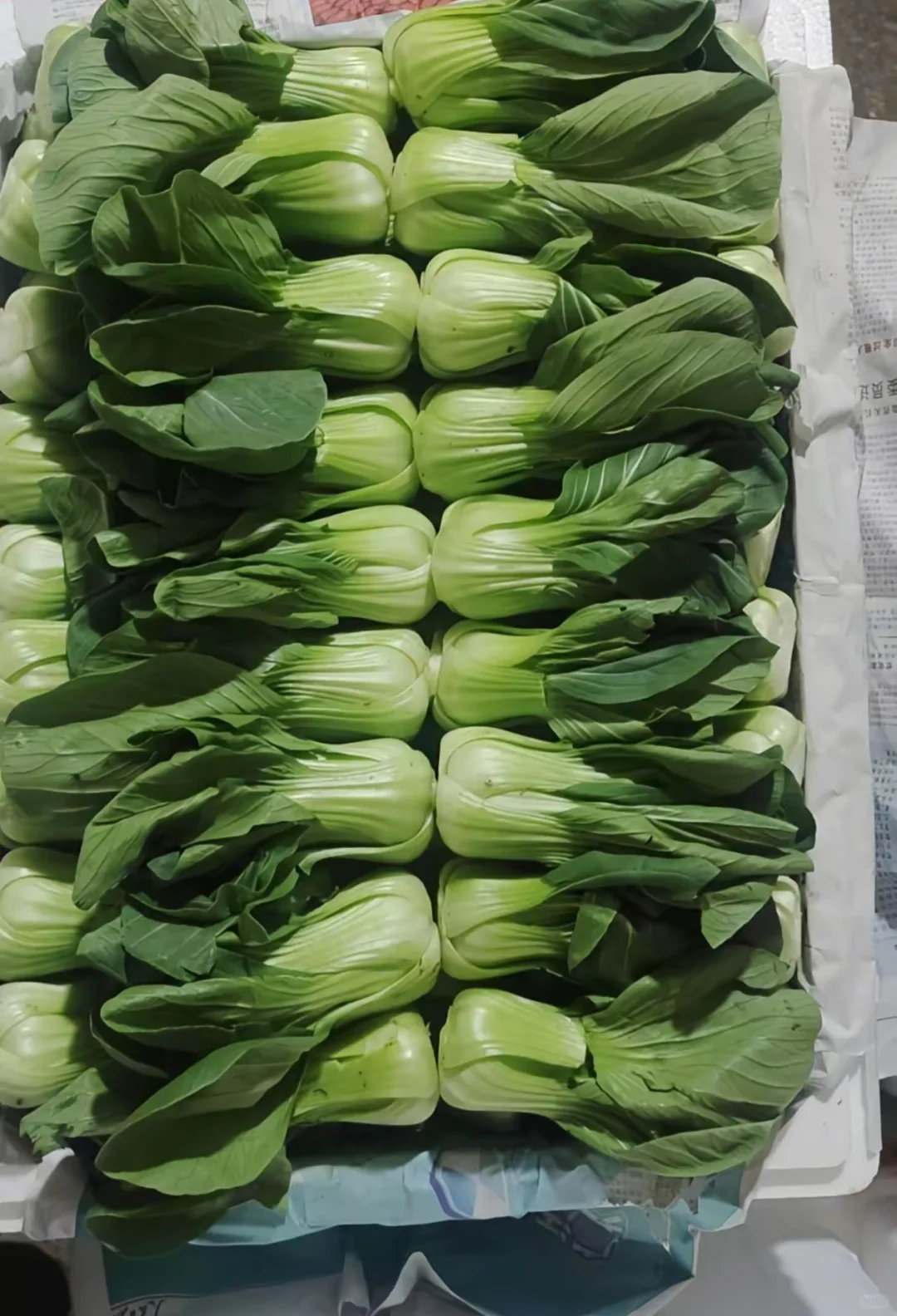 合肥10月1号国庆节蔬菜批发价格