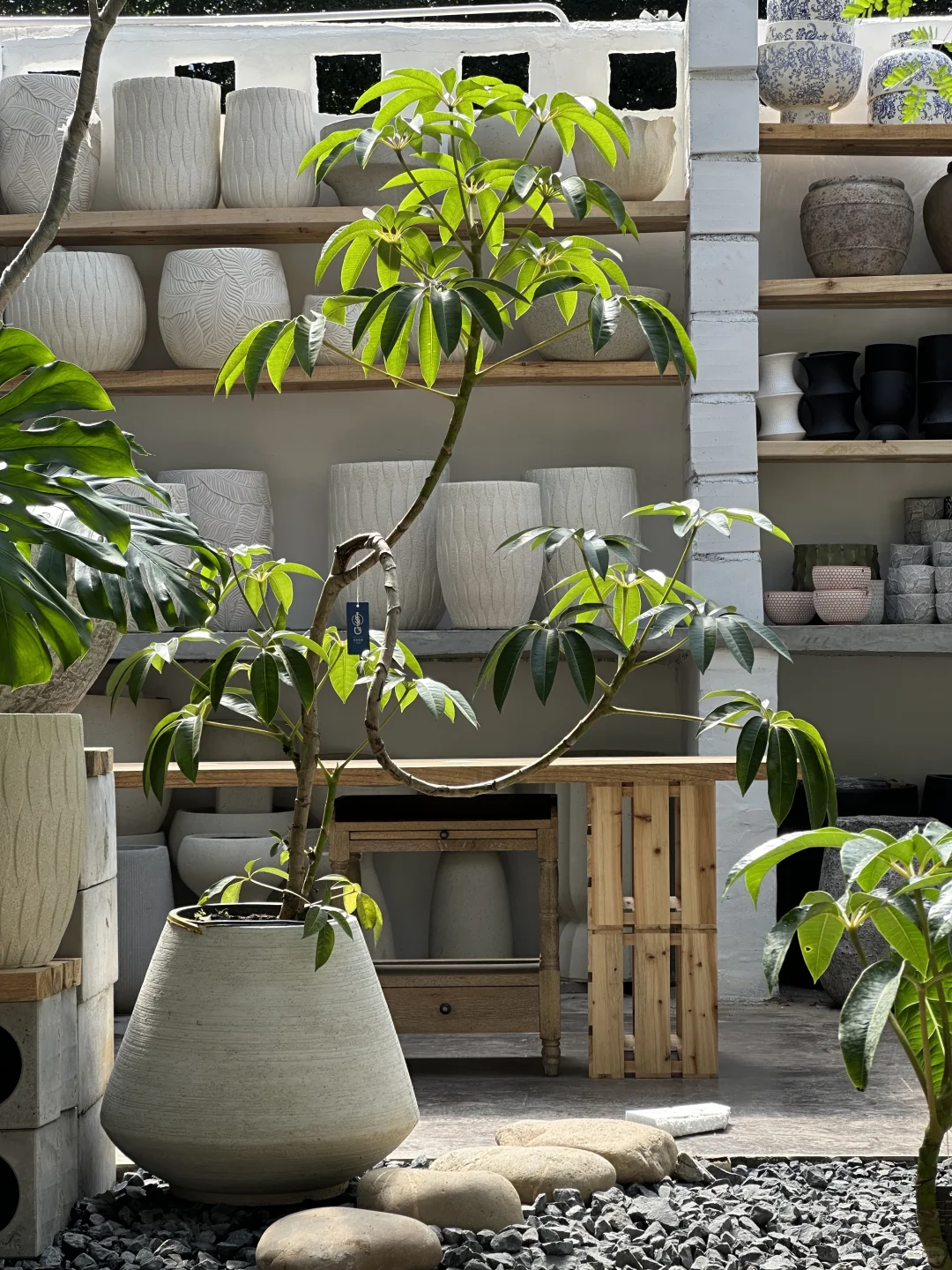 花店的治愈时光