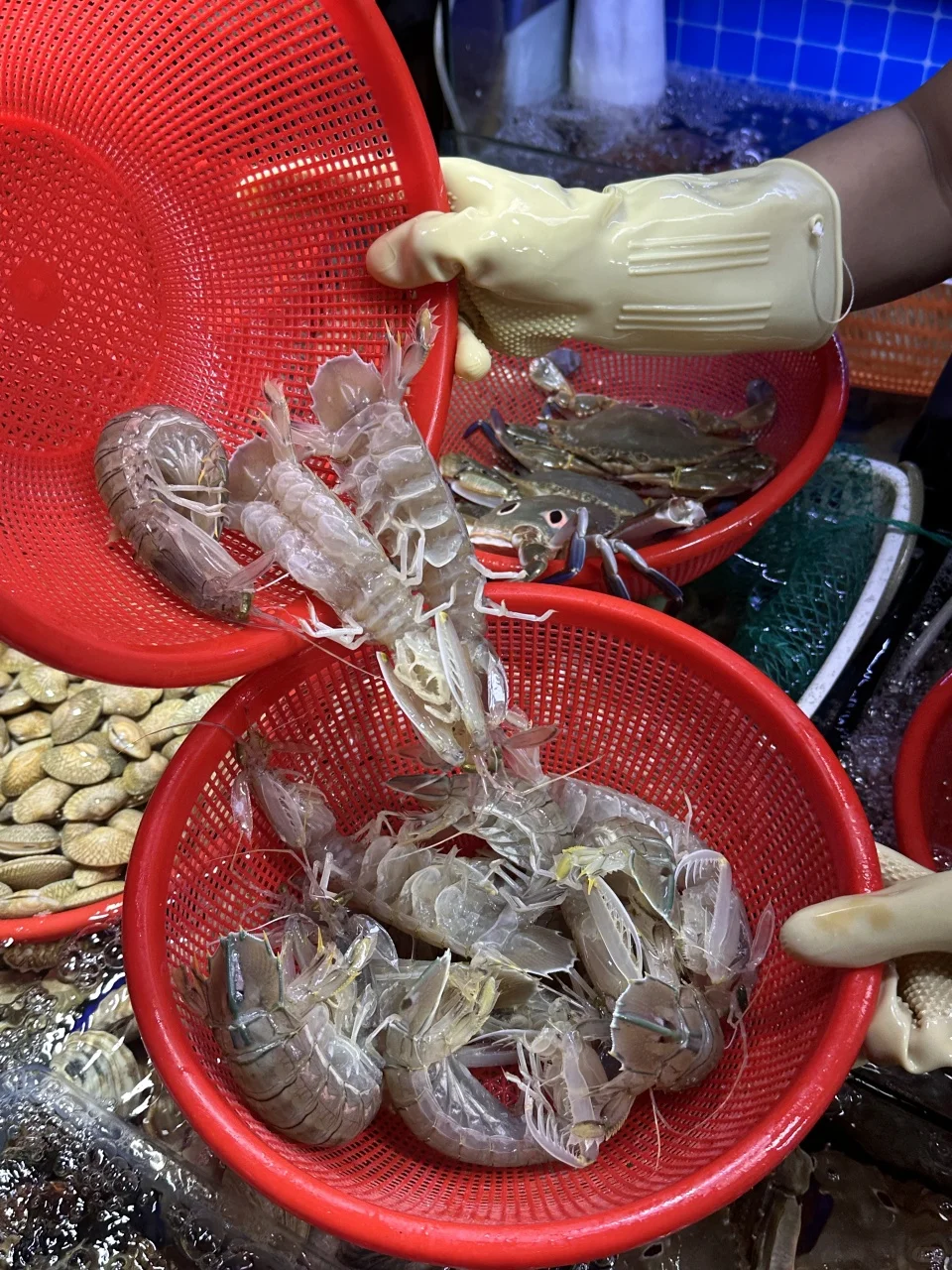 三亚这个菜市场的海鲜也太香了