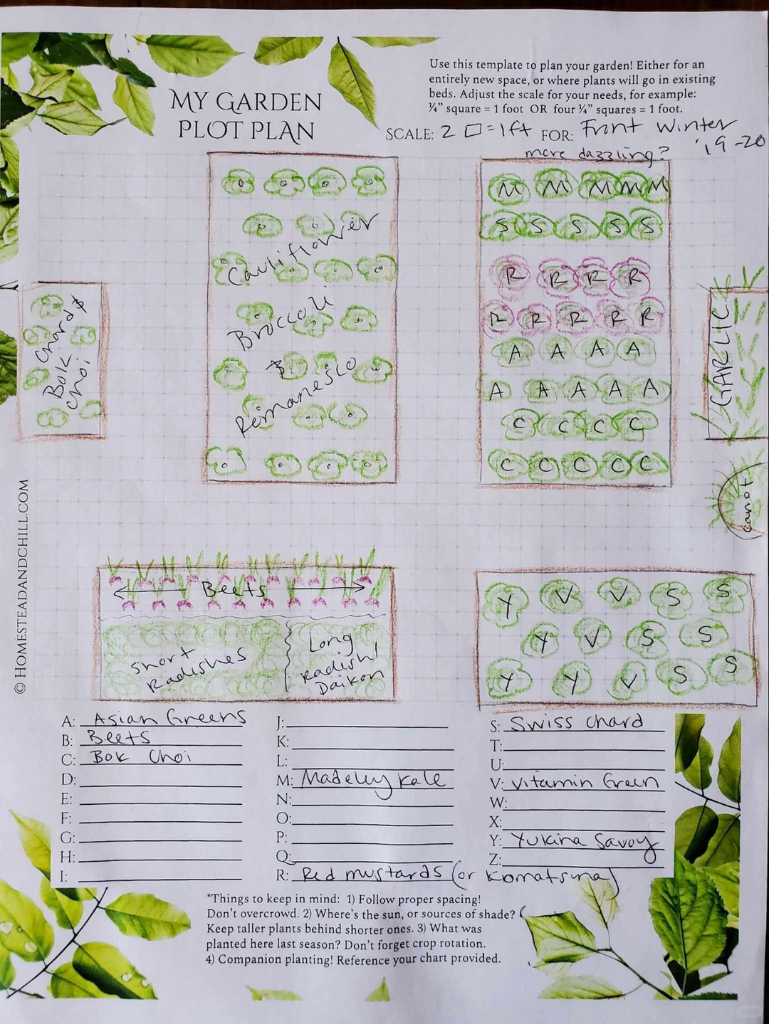 我们种植了什么：2024年秋冬花园