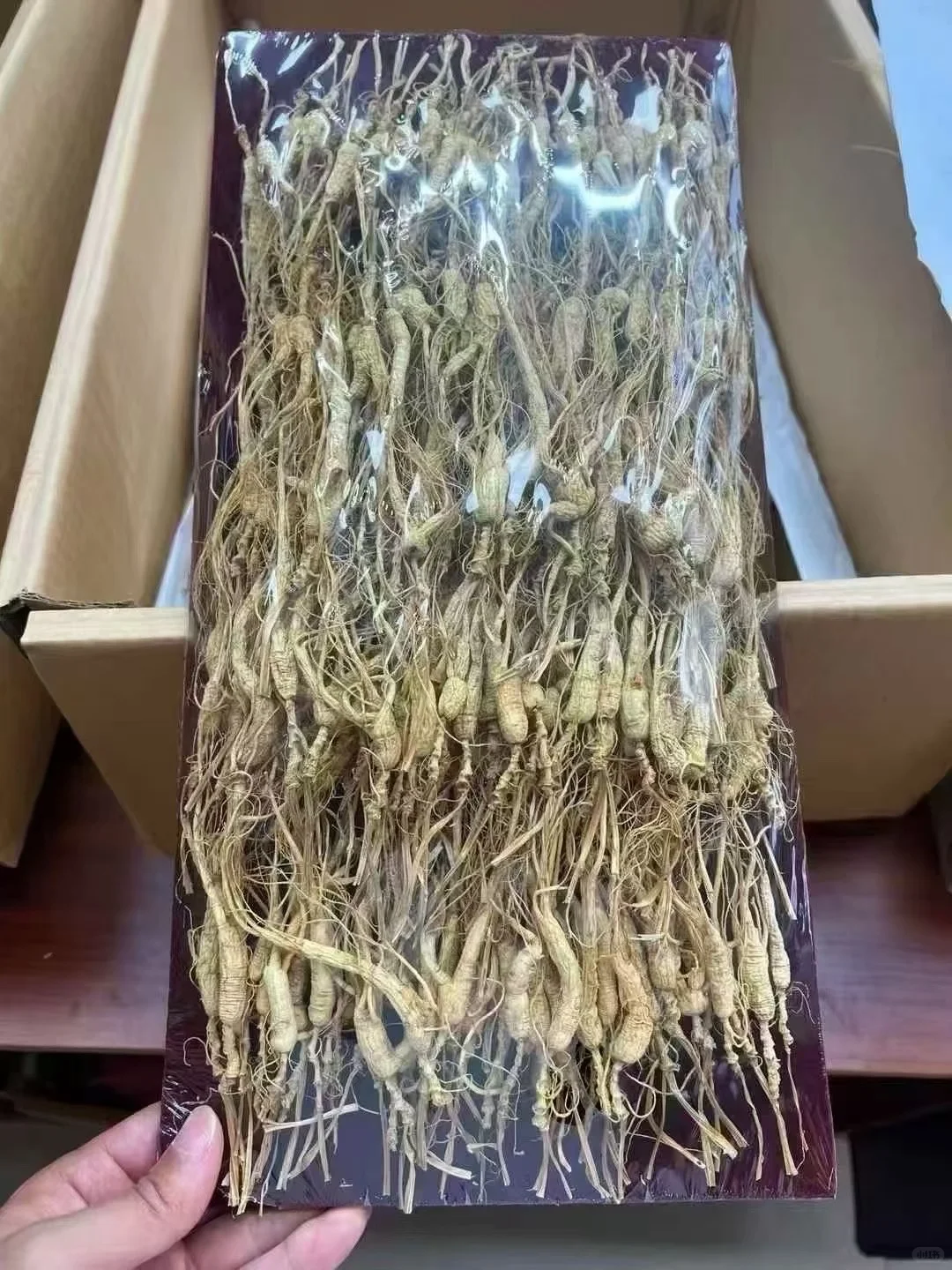 林下参小货，煲汤、泡茶款